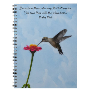 Caderno Espiral Colibri Procurando Versículo Bíblico de Oração
