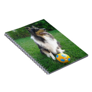Caderno Espiral Collie