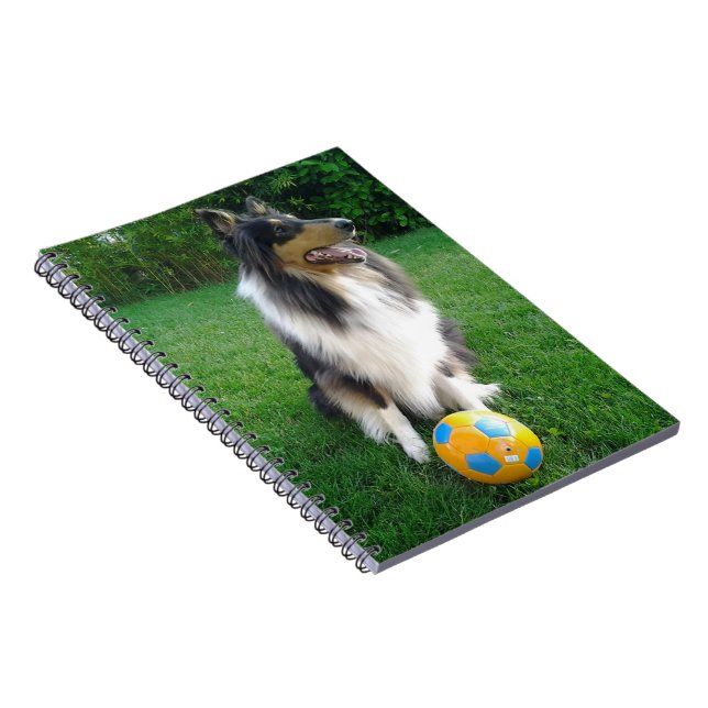Caderno Espiral Collie (Lado Direito)