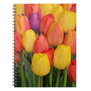 Caderno Espiral Colorful bunch of spring tulips