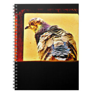 Caderno Espiral Colorida Pombo