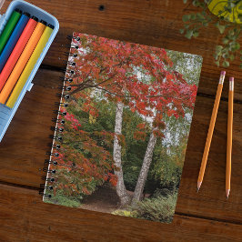 Caderno Espiral Colorir Autumn Deixa Foto