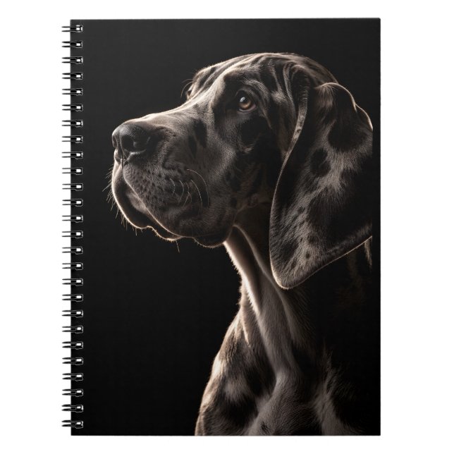Caderno Espiral Colosso Gentil (Frente)