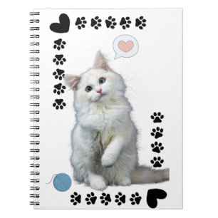 Caderno Espiral com Foto Gatinho Branco