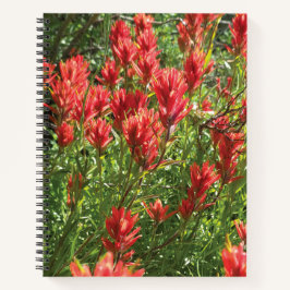 Caderno espiral com pincel