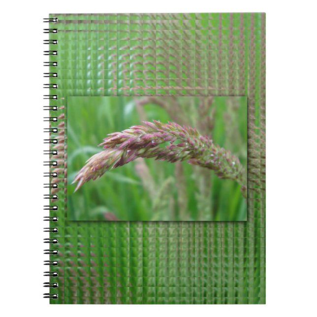 Caderno Espiral Como a grama cresce o notebook (Frente)