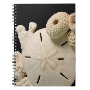 Caderno Espiral Conchas Brancas e Dólar de Areia