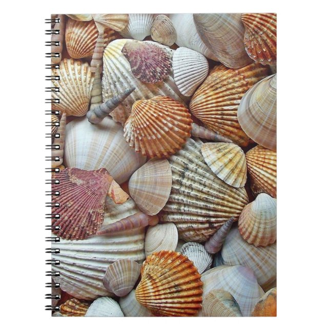 Caderno Espiral Conchas do Mar (Frente)