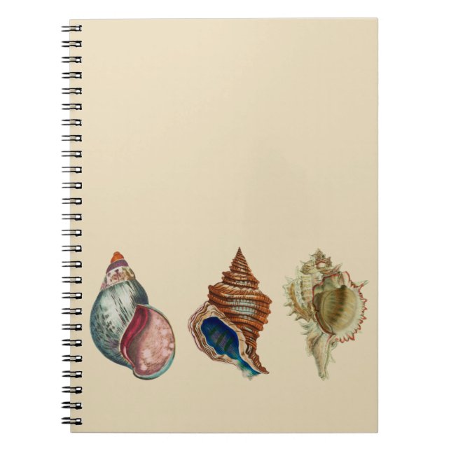 Caderno Espiral Conchas do VIntage (Frente)