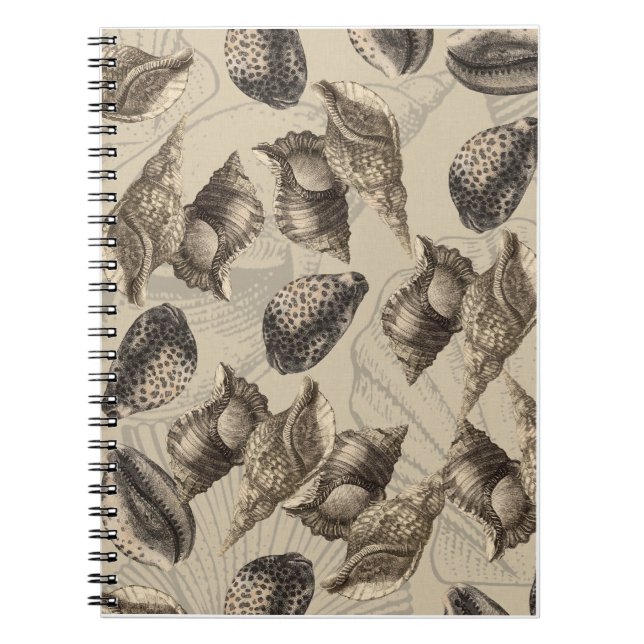 Caderno Espiral Conchas marítimas (Frente)