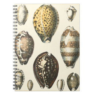 Caderno Espiral Conchas Selvagens Exclusivamente Formatadas