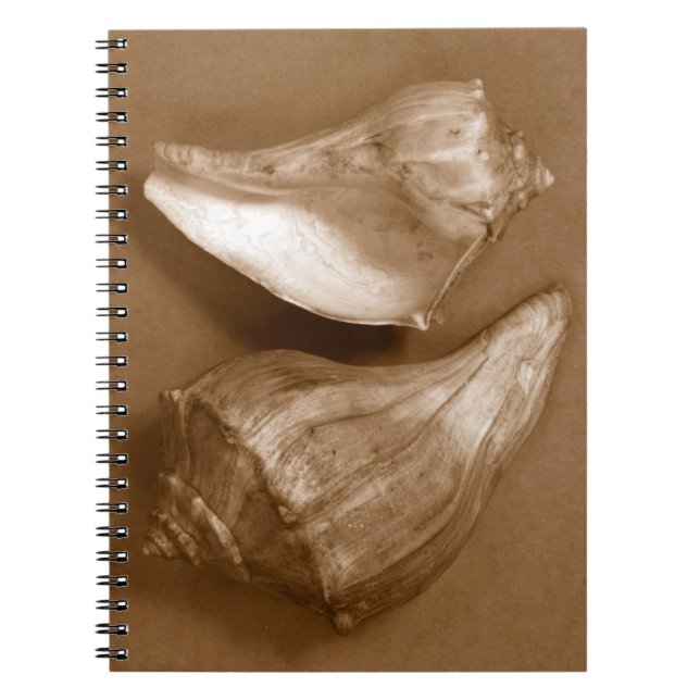 Caderno Espiral Conchas Sensuais (Frente)