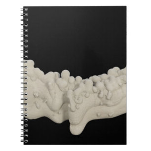 Caderno Espiral Concretion da argila
