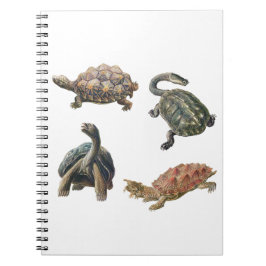 Caderno Espiral Conjunto de ilustrações da tartaruga em vinheta