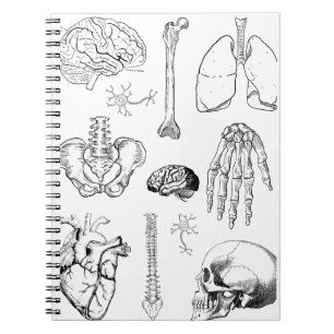 Caderno Espiral Conjunto de Ilustrações Médicas Antigas de Anatomi