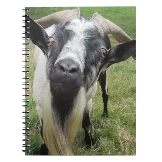 Caderno Espiral Consultar Mentes (Frente)