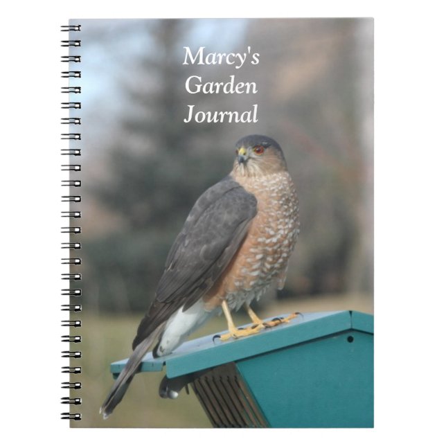 Caderno Espiral Coopers Hawk (Frente)