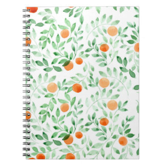 Caderno Espiral Cor de Água da Proveniência Laranja Verde Tangerin