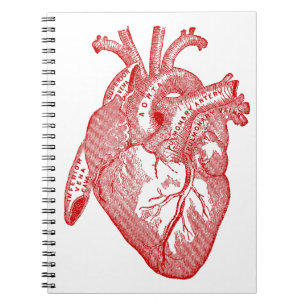 Caderno Espiral Coração Anatômico Vermelho Antiquado