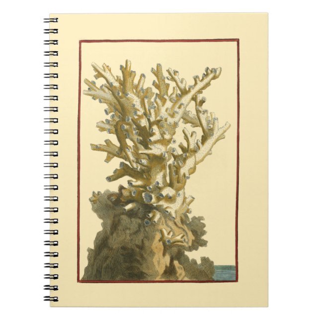 Caderno Espiral Coral pelo mar (Frente)