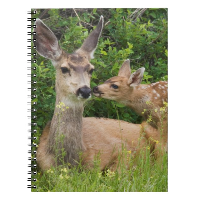 Caderno Espiral Corça de Veado-Mula com Cria (Frente)