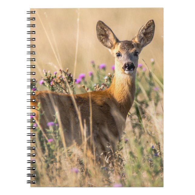 Caderno Espiral Corça Jovem no Prado (Frente)