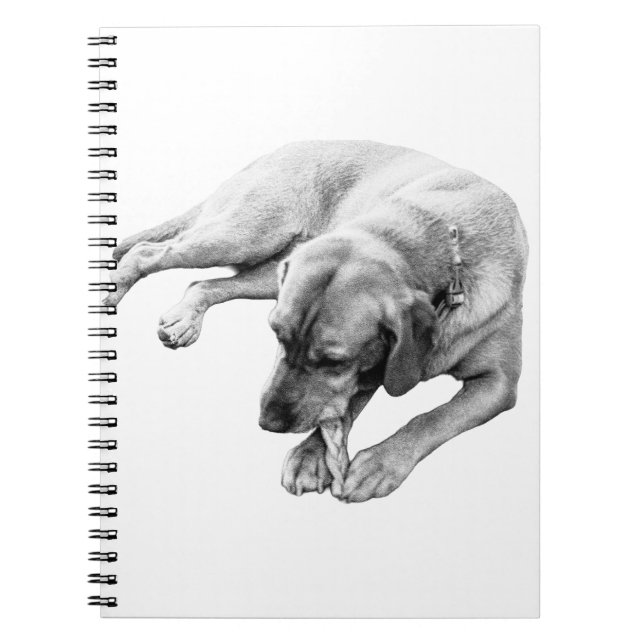 Caderno Espiral Corda e Reflexão (Frente)