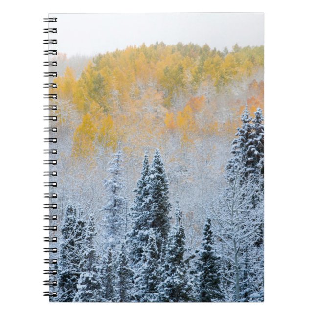 Caderno Espiral Cores de Outono de Aspens & Neve Fresca Keebler Pa (Frente)