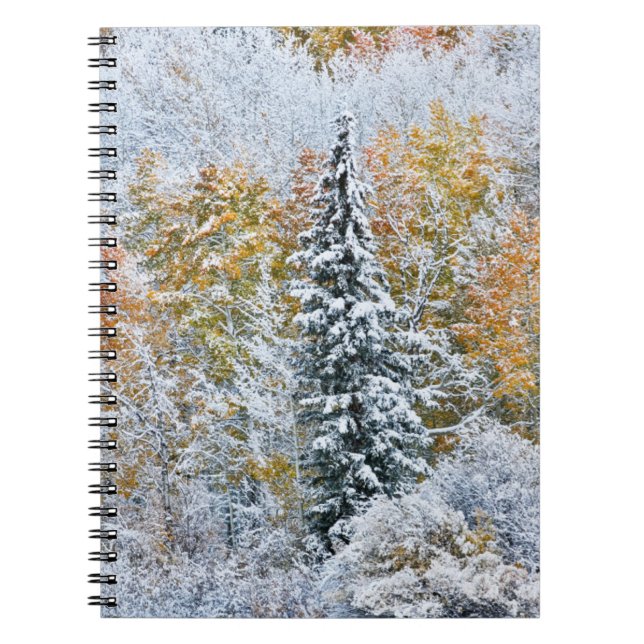 Caderno Espiral Cores de Outono de Aspens & Snow Keebler Pass (Frente)