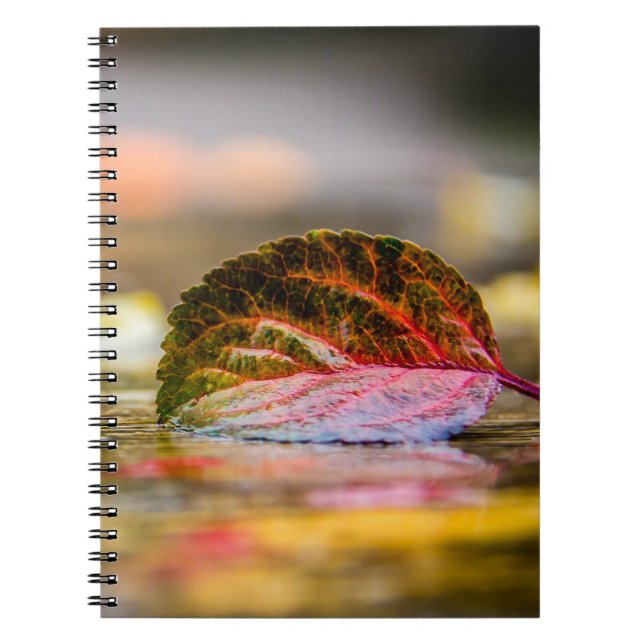 Caderno Espiral Cores de queda (Frente)