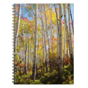 Caderno Espiral Cores de queda das árvores de Aspen 5