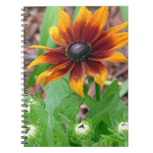 Caderno Espiral Cores do outono