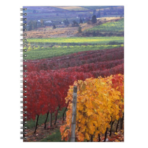 Caderno Espiral Cores intensas de vermelho e amarelo no outono em