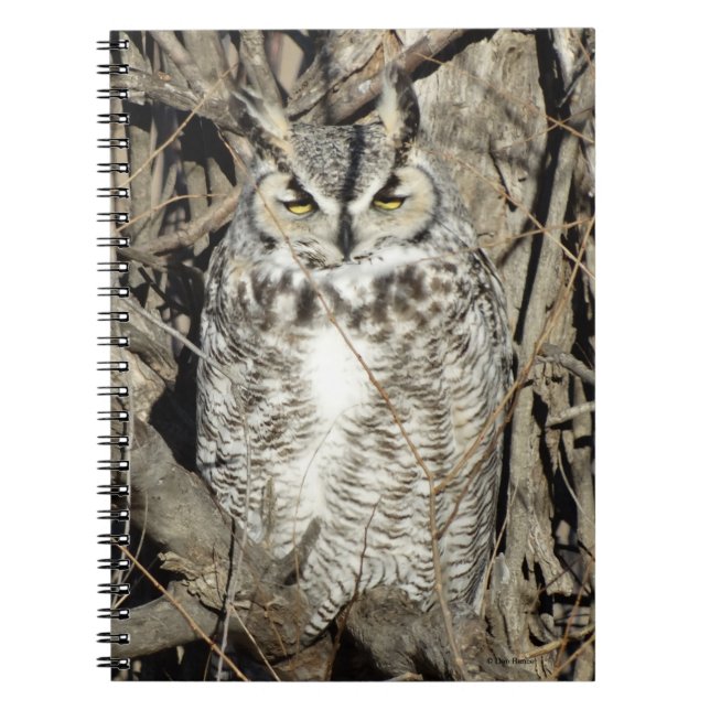 Caderno Espiral Coroa Excelente B51 (Frente)