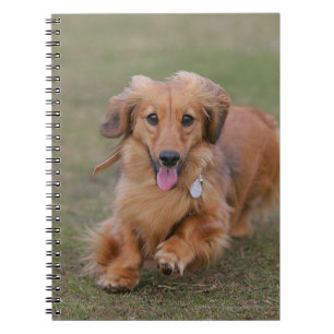 Caderno Espiral Corredor do Dachshund de Miniture