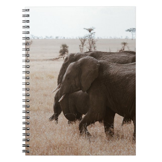 CADERNO ESPIRAL CORRIDA DE ELEFANTES (Frente)