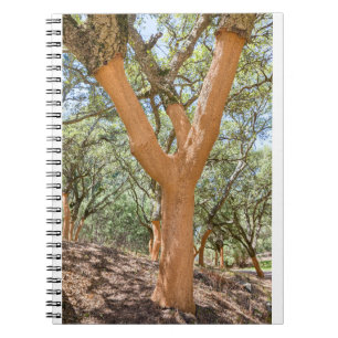 Caderno Espiral Cortieiros do Algarve português.JPG