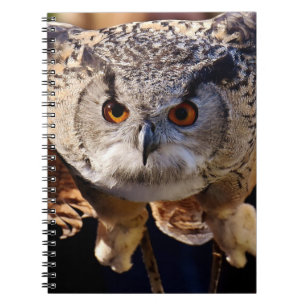 Caderno Espiral Coruja