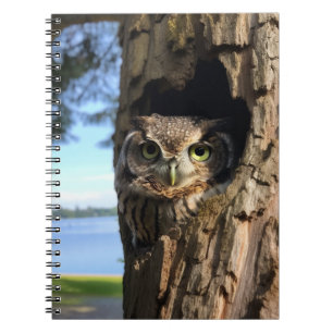 Caderno Espiral Coruja