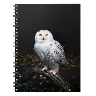 Caderno Espiral Coruja-das-neves majestosa de inverno
