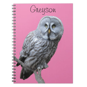 Caderno Espiral Coruja de Cinzas excelentes
