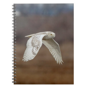 Caderno Espiral Coruja de neve em voo