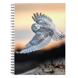 Caderno Espiral Coruja de neve em voo