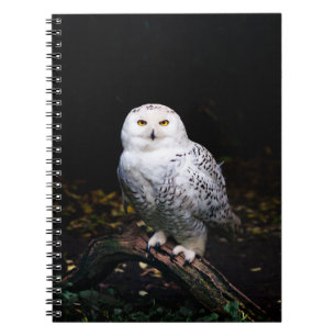 Caderno Espiral Coruja de neve majestosa no inverno