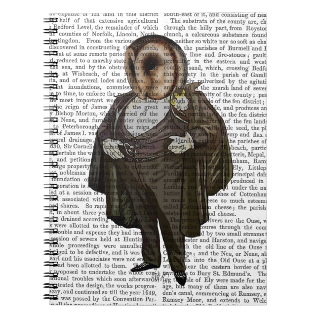 Caderno Espiral Coruja Na Ópera (Frente)