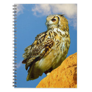 Caderno Espiral coruja-real-europeia