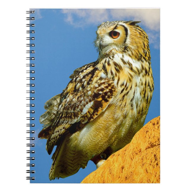 Caderno Espiral coruja-real-europeia (Frente)