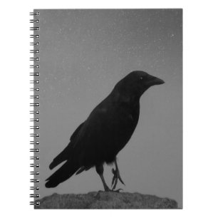 Caderno Espiral Corvo Numa Noite Estrelada
