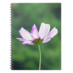 Caderno Espiral Cosmos