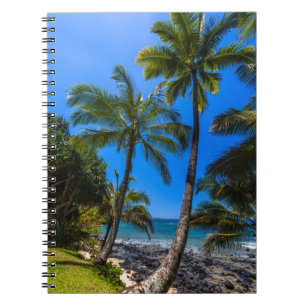 Caderno Espiral Costa tropical 2